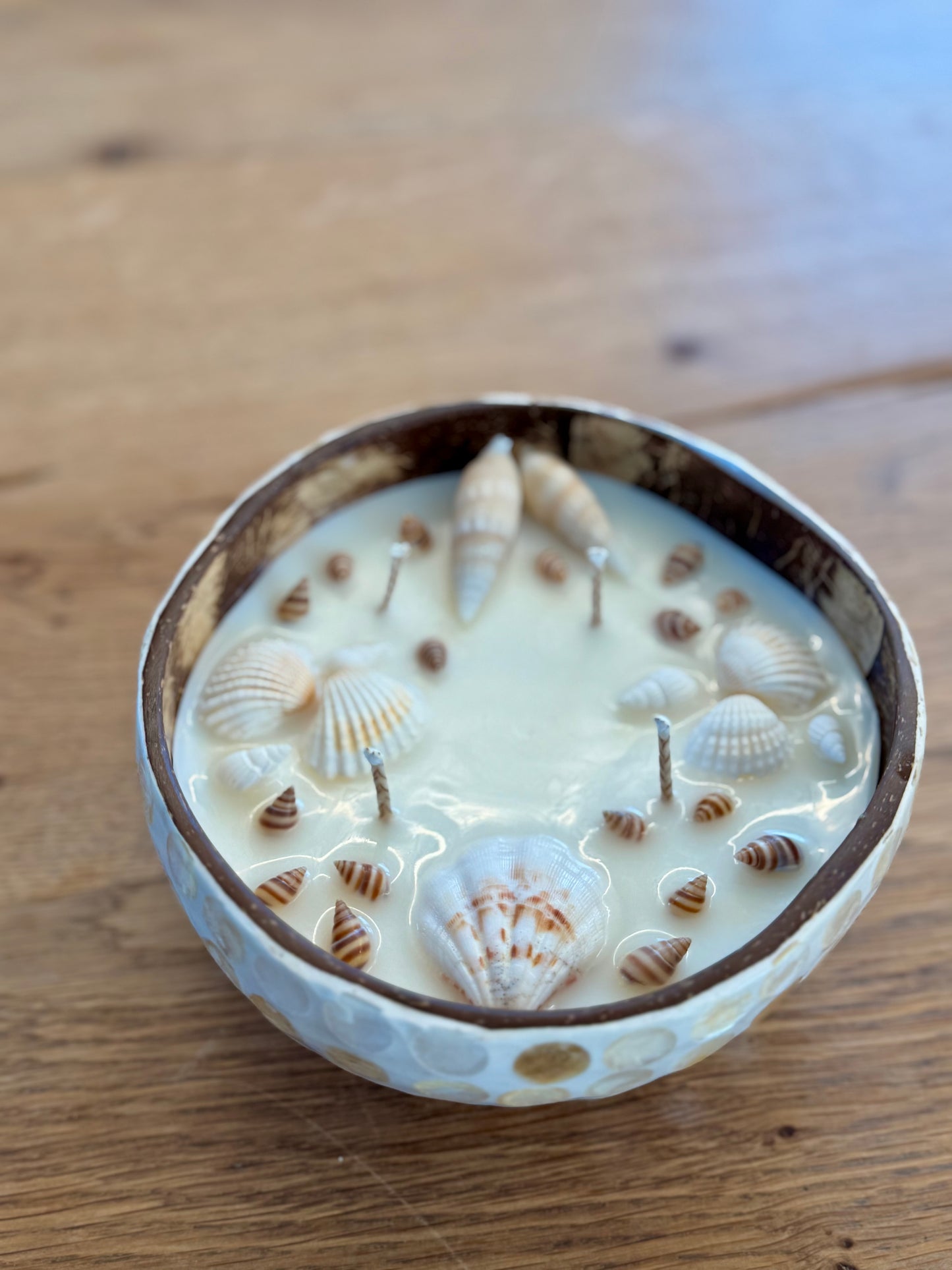 Kerze mit Jakobsmuscheln und kleine Schneckenhäuser
