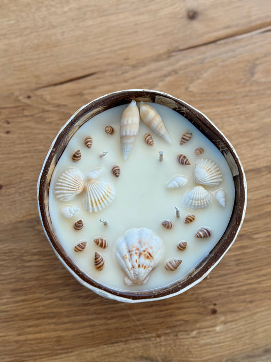 Kerze mit Jakobsmuscheln und kleine Schneckenhäuser