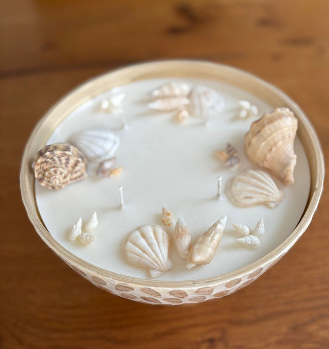 Kerze mit Schneckenhäuser und Jakobsmuscheln