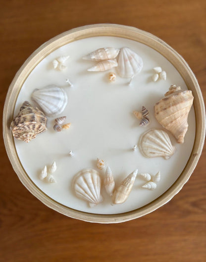 Kerze mit Schneckenhäuser und Jakobsmuscheln