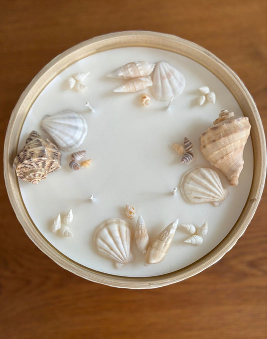 Kerze mit Schneckenhäuser und Jakobsmuscheln