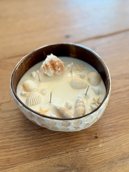 Kerze mit Muscheln und kleinen Seesternen