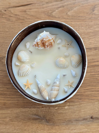 Kerze mit Muscheln und kleinen Seesternen