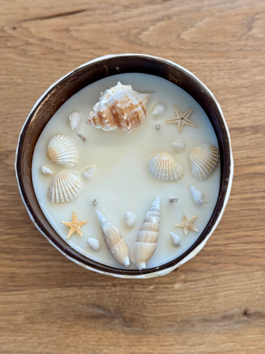 Kerze mit Muscheln und kleinen Seesternen